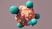T-Cells Work to Fight Cancer, Immunotherapy, CAR T-cell therapy, 3d...