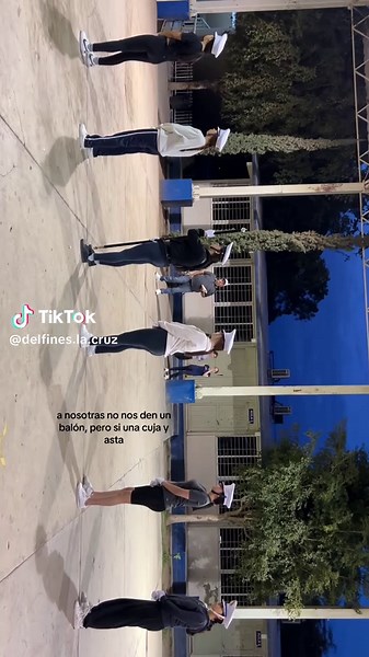 Escolta de Delfines en La Cruz, Sinaloa