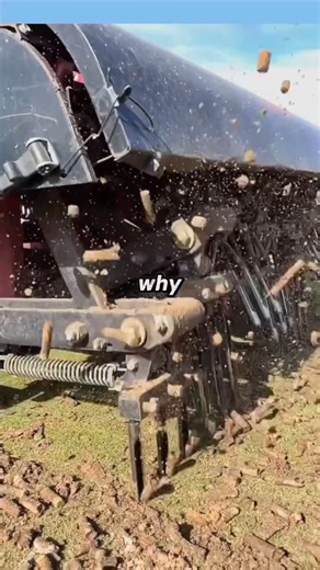 Why Soil Aeration Is So Important. | Shee.actress