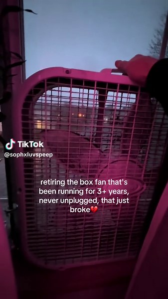 Retiring My Trusty Box Fan After 3 Years