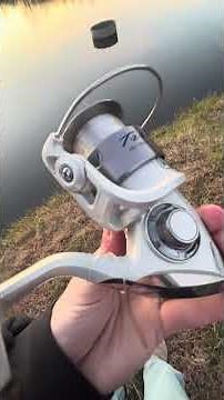 CRISPPPYYY #bassfishing #coldweather