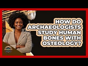 How Do Archaeologists Study Human Bones With Osteology? - Archaeology Quest
