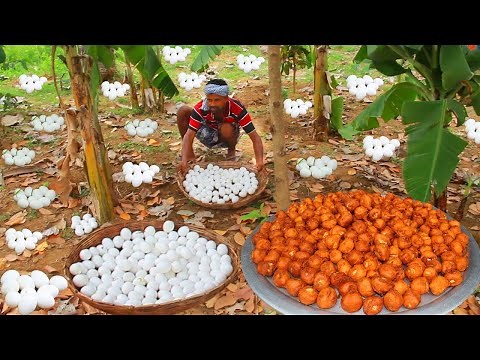 Awesome Finding and Cooking Duck Egg - Eating delicious VILLAGE HUNTER