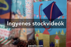 A legjobb 20 000+ Születésnapi Ünneplés témájú videó · 100%-osan ingyenes letöltés · Pexels-stockvideók