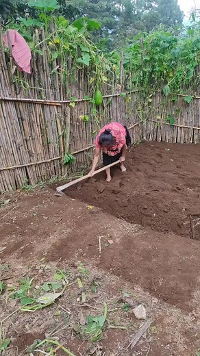 Gardening Tips: Digging Soil Effectively