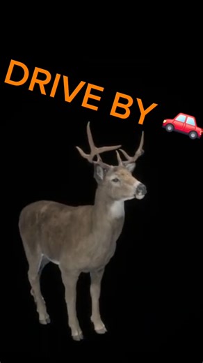Tried Running Over a Deer… Then Did a DRIVE-BY 😳🦌 #woth #gaming #shorts