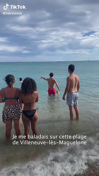 Augmentation des méduses en Méditerranée cet été