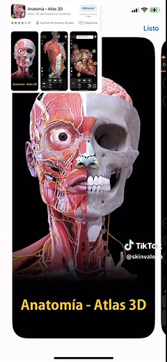 Aprende Anatomía en 3D con las Mejores Apps
