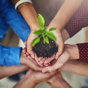 What is Environmental Management? And why its importance? ▷➡️ Postposm