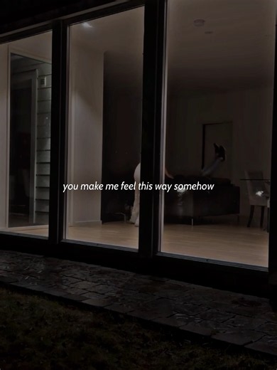 I'm So In Love With You Lyrics | Find the Song
