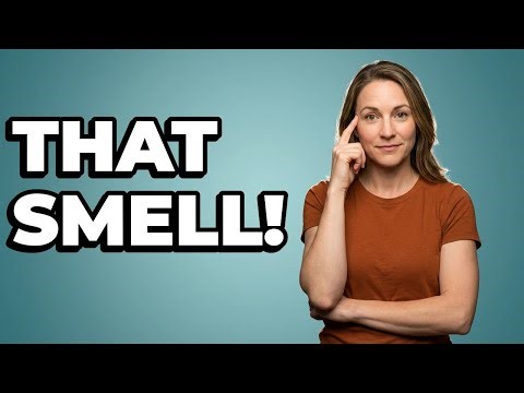 What Does A Roach Infestation Smell Like?