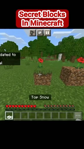 Secret Blocks In Minecraft #Samasamamain #minecraft #trend #viral #minecrafttutorial #nightdminecrafthack #mcpe