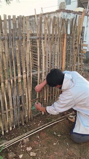 A beautiful fence made of bamboo #farm life #garden #tips