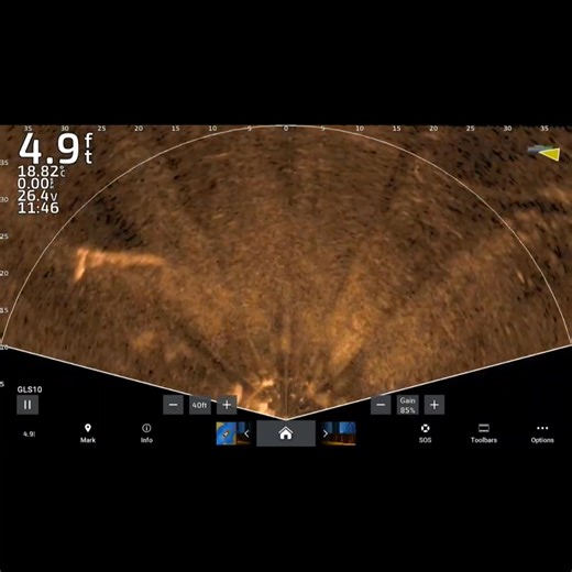 Garmin Livescope: Croc Vs Barra 🎥@basstobarraoutdoors7891 | Garmin Marine
