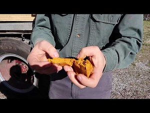 🔵Should you feed pollen patties to help your bees???