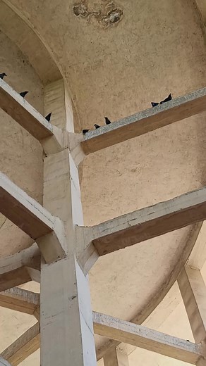 183K views · 2.2K reactions | water valve gasket replacement #work #water #waterpipe #replacement #gaskets #valve #watervalve #madurai #hardwork #workharder #PipeWork #pipeline #facts #passione | Knightpreengineering | Facebook