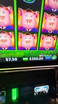 The Line Hits on This Slot Machine Were INSANE!!