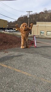 It's almost (virtual) party time! Tune in starting in 30 minutes to see some of our local, available dogs. Woof woof! | Great Dog Rescue New England