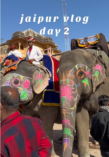 วันนี้เที่ยว amber fort ครึ่งวัน ละก็นั่งรถไปอีกเมืองชื่อ ranthambore อากาศหนาวมากนี่ก็ซ่าใส่เสื้อลูกไม้มีรู😑 #เที่ยวอินเดีย #jaipur #ranthambhore #amberfort #tiktokพาเที่ยว
