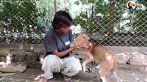 11M views · 2.2K shares | This street dog got the love he needed — and you can make sure others do too. | NowThis | Facebook