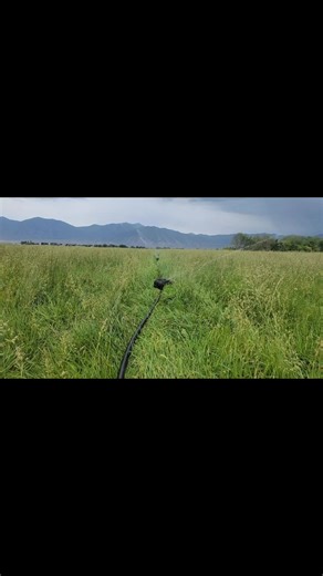 K-Line is a cost-effective, adaptive irrigation solution designed specifically with the grass-based livestock producer in mind. After three decades of success, K-Line has also proven itself as an excellent solution for other agricultural, residential, and commercial uses as well. Explore how our solutions can fit your specific needs and contact us for a consultation today. | K-Line Irrigation North America