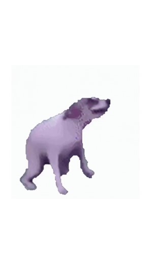 Funny Dog Profile Pictures for TikTok