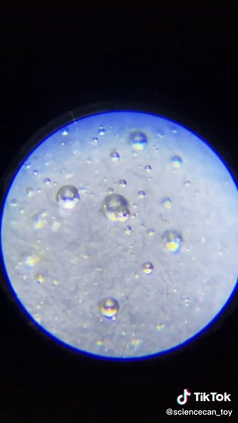 How does honey looks under 120x 🔬 #microscope #honey #zoom #macro #science #nature #exam #sciencecan
