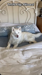 1.6K views · 291 reactions | Comment “pillow” and I’ll DM you my...