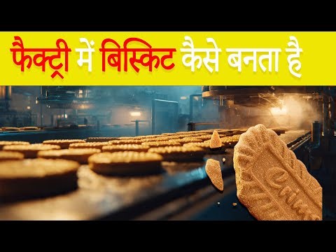 फैक्ट्री में बिस्किट कैसे बनता है? | How Biscuits Are Made In Factory