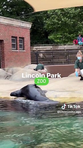 Discover the Largest Park in Chicago: Lincoln Park