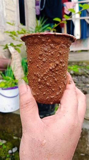 A RAM SAM SAM chiki tonz🍉🍓🍭🔴#shortvideo #youtubeshorts#funny#cutebabyfunny #samayranarula