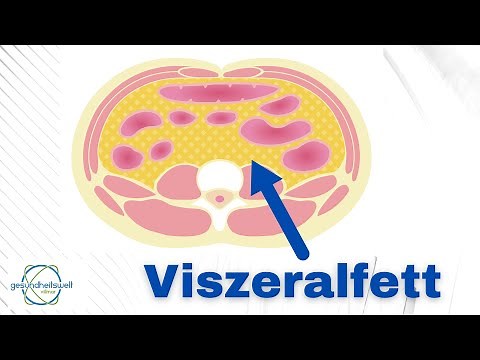 Viszeralfett - Tiefes Bauchfett loswerden!