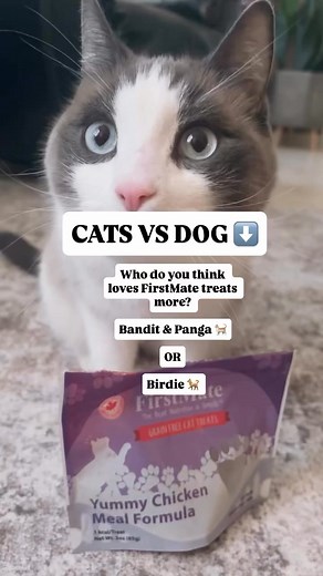 Find a FirstMate retailer Near You! | FirstMate Pet Foods | Facebook