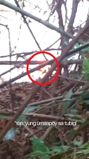 BOLANG APOY, DIUMANO NA-CAUGHT ON CAM SA GILID NG ILOG SA TAGKAWAYAN, QUEZON? GAANO KATOTOO NA MAY DALA RIN ITONG… SWERTE? “Nu’ng araw po na ‘yun, nagkasundo po kaming manguha ng mga kahoy. ‘Yung isa namin kasamahan, bigla kaming tinawag. Mayroon daw siyang nakitang kakaiba. Pagdating namin, talagang nag-aapoy po siya na bilog! Para po kaming tinindigan ng balahibo nu’ng nakita namin! Hindi po namin nilapitan kasi iniisip namin na baka sumabog! Base po sa naririnig namin na usap-usapan dito, kap