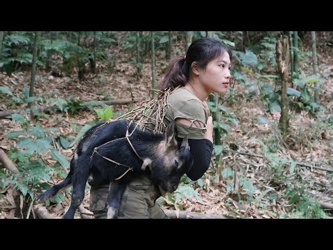 Tracking wild goat tracks and setting traps to catch them, survival alone