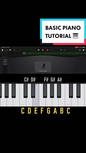 Basic Piano Tutorial for Beginners | Easy Step-by-Step Guide