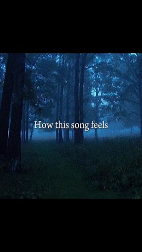 Love this songggg it’s called Snowfall #song #music #lyrics_songs #snowfall #fyourpage #fyppppppppppppppppppppppp #fyp #playlist #spotify