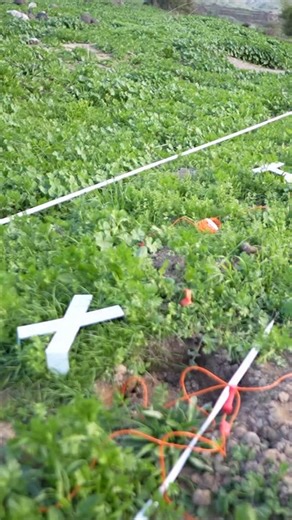 צפו: העבודות להקמת המכשול הביטחוני בגבול המזרחי מתרחבות: הרשות לפינוי מוקשים ונפלים במשרד הביטחון החלה בהשמדת שדות מוקשים במרחב הגבול עם ירדן. כחלק מהעבודות להקמת המכשול הביטחוני בגבול המזרחי, שמובילה מנהלת גבולות ותפר במשרד הביטחון, ביצעה אתמול (ג׳) הרשות לפינוי מוקשים ונפלים, פיצוץ מבוקר של שלושה שדות מוקשים. בסה״כ הושמדו כ-500 מוקשים ישנים נגד טנקים שהונחו באזור החל מסוף שנות ה-60. פינוי והשמדת המוקשים מצטרפים לעבודת הבניה שמתבצעות בשטח ע״י מנהלת גבולות ותפר, אגף ההנדסה והבינוי במשרד הביטחון 