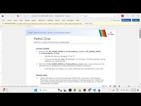 Shelly Cashman Excel 365 | Module 3: End of Module Project 2 Petrol One