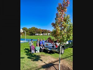 ‘Tree Tenders’ Plant Red Maple In Brennan Field Park In West Haven