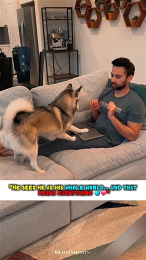 "More Than a Dog… A Love That Never Fades 🐾💔❤️"#shorts