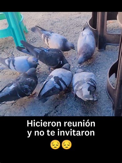 Disfruta de KFC en Perú y siéntete bonito