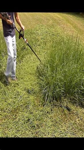 42K views · 333 reactions | Strong electric string trimmers produce the best sound because there is no motor noise. All you hear is the sound of the string hitting the grass. Very satisfying ASMR! #Amazing #satisfying #asmr #lawncare #electric | Something 2LookAt | Facebook