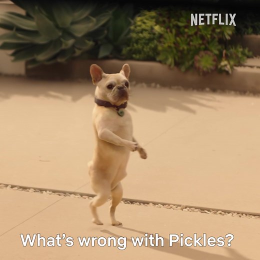 2.5M views · 37K reactions | Don’t miss the feel good family movie of the year starring Jennifer Garner and Ed Helms. Watch Family Switch, now playing on Netflix. | Netflix | Facebook