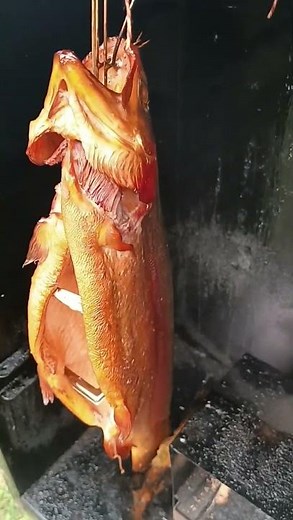 Forelle aus dem Räucherofen, fein🐟