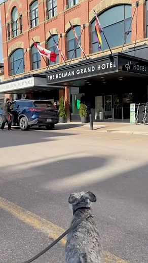 16K views · 968 reactions | Epic hotel stay PEI ⁣ ⁣ Friends, have...