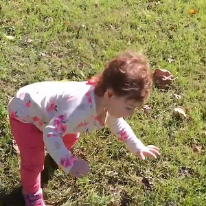 1M views · 176 reactions | Babies face-planting after taking their first steps has to be the best new thing on the internet.  | MagiQuiz | Facebook