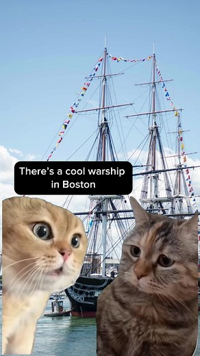 102K views · 1.8K reactions | Have any plans this weekend? Come see USS Constitution and her crew from 10 a.m. to 4 p.m. HUZZAH! | USS Constitution | Facebook