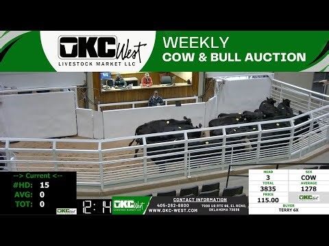 1/29/2024 - OKC West Weekly Cow & Bull Auction