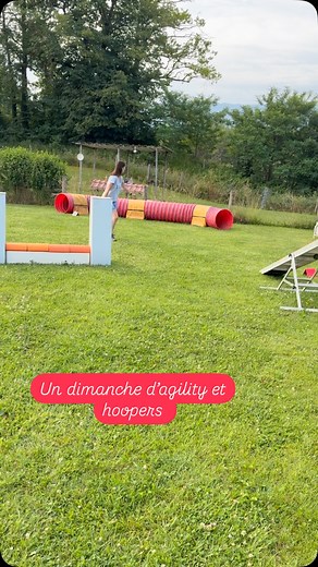 Un peu moins chaud aujourd’hui. Hasard du planning, agility pour tous et hoopers pour les Borders ☀️🐾 #agilitytraining #agility #agilitydogs #hoopersagility #hoopers #educationcaninebienveillante #educationcaninepositive #annecy #annecyfrance | Services Canins JADOR Ecole du Chiot, Education Canine, Agility, Promenades
